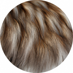 ✨ maine coon furr close up coat shaded