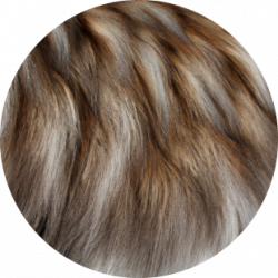 ✨ maine coon furr close up coat shaded